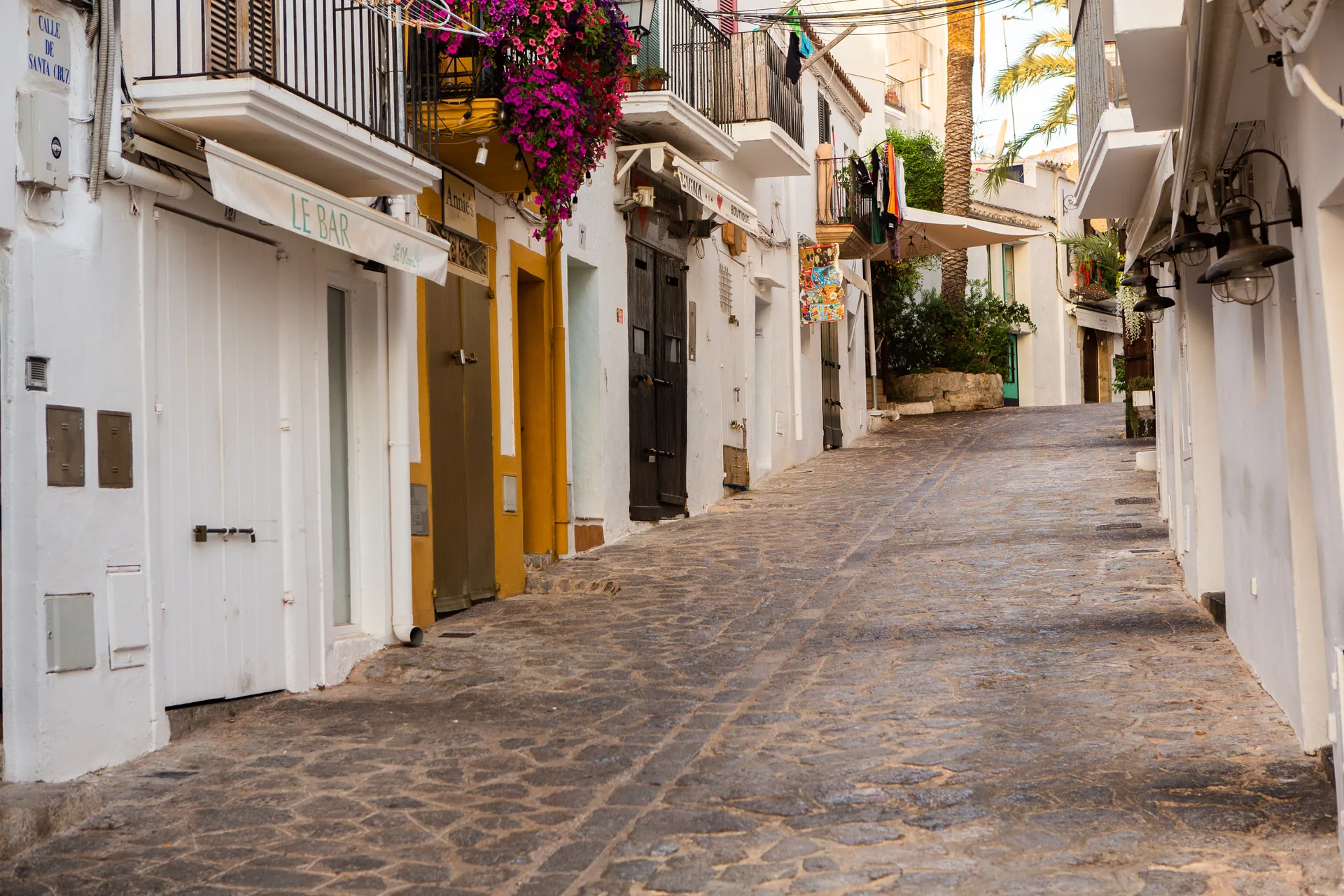 Red de Agentes en Ibiza: Facilitando Compras de Propiedades
